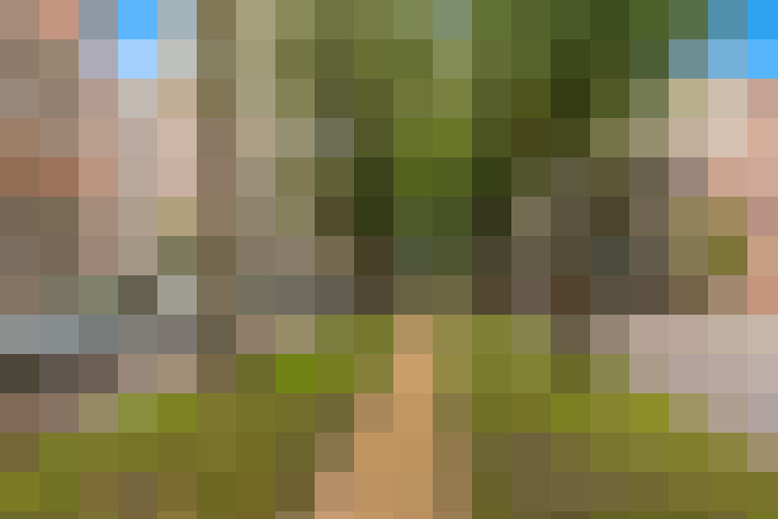 Image 47