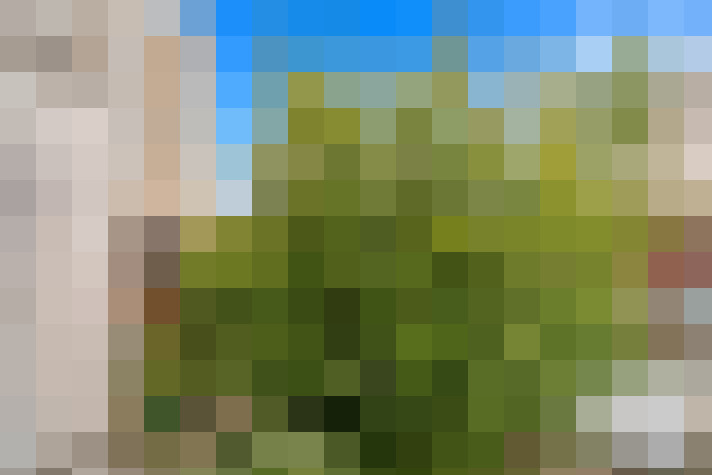 Image 34