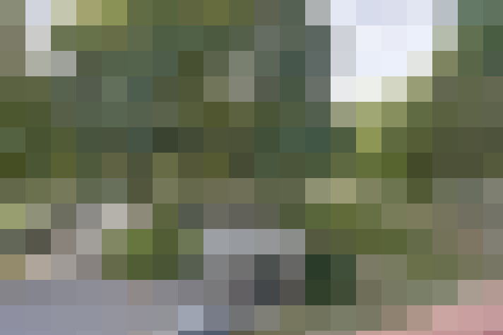 Image 20