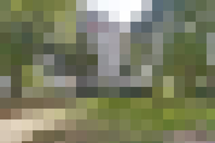 Image 23