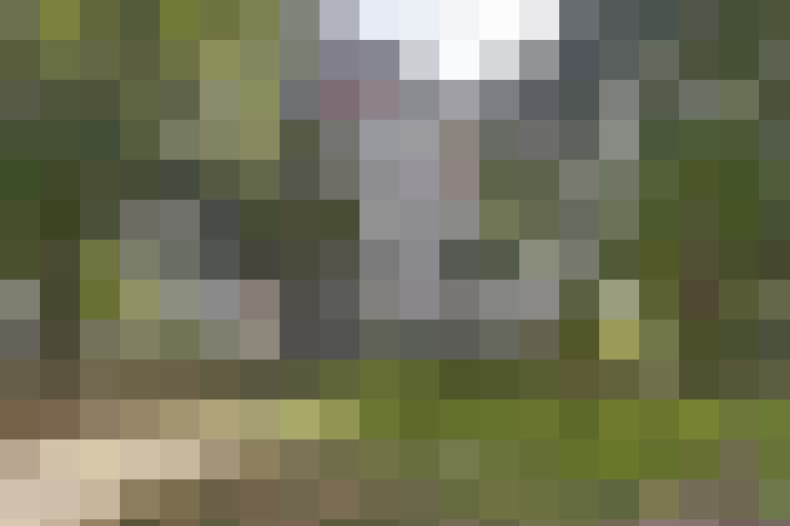 Image 24
