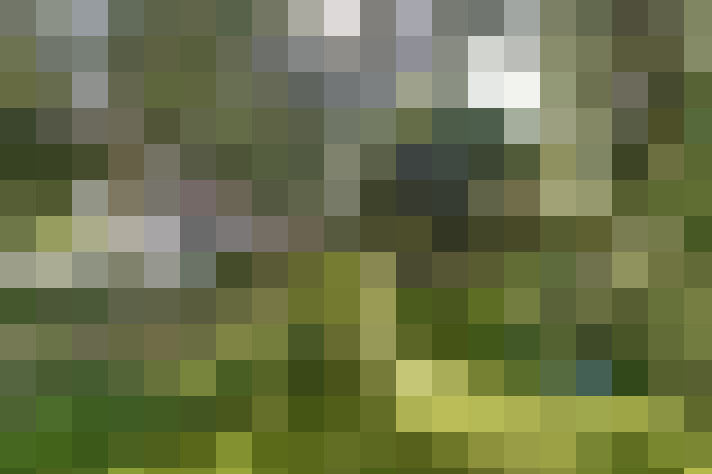 Image 25