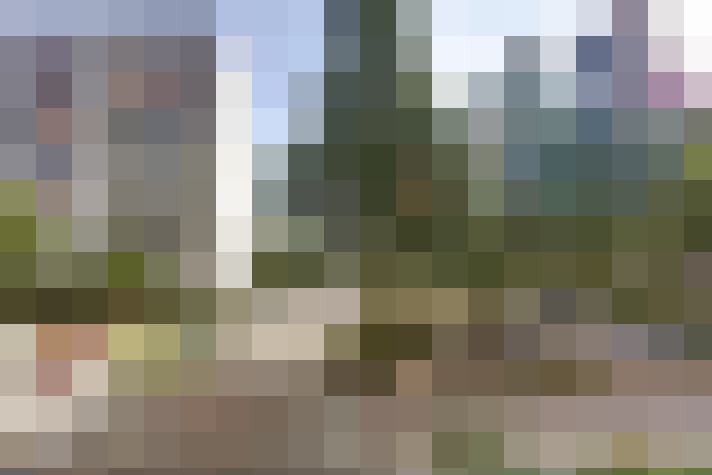 Image 17