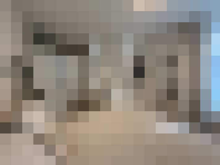 Image 13
