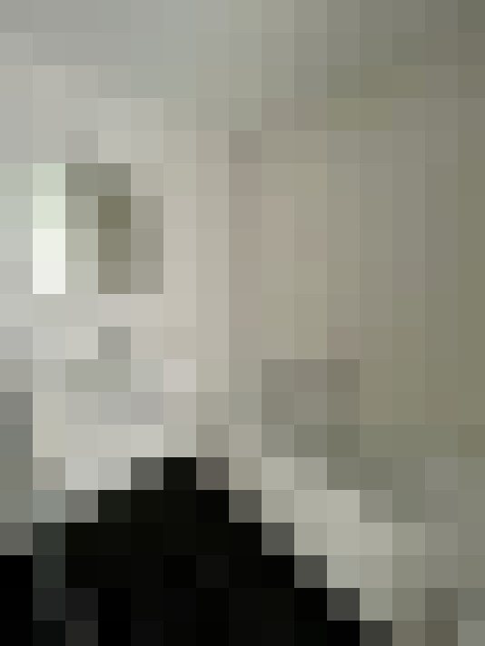 Image 13