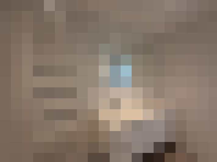 Image 14