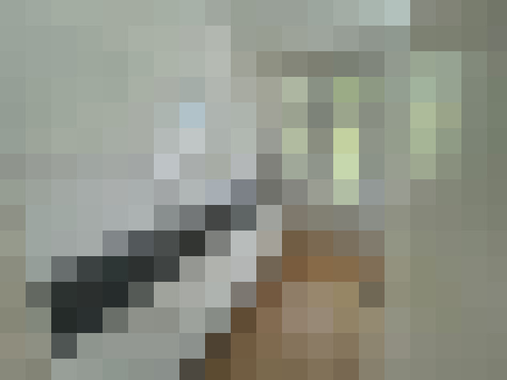 Image 41