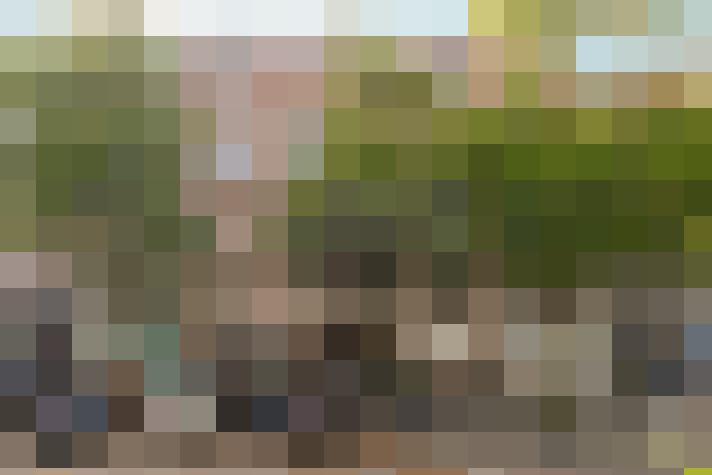 Image 31