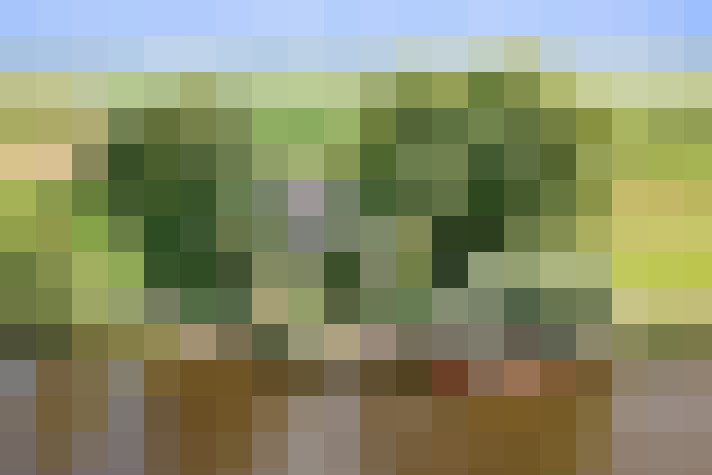 Image 36
