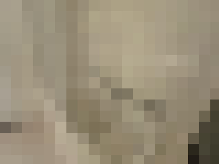  / #22