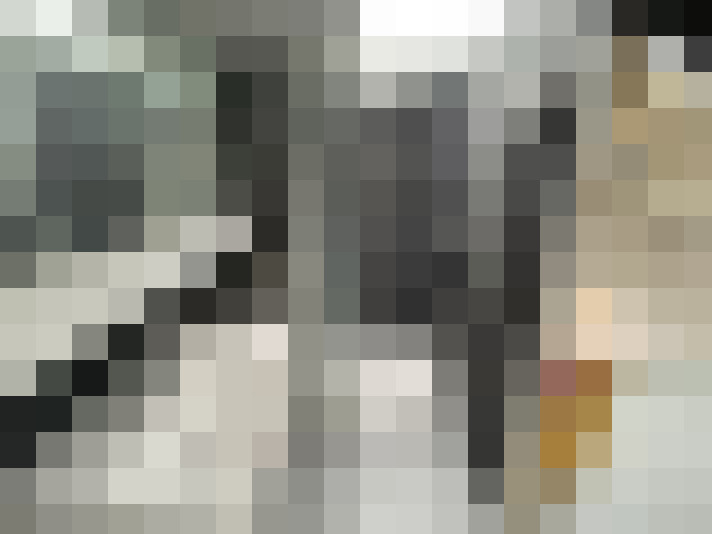 Image 15