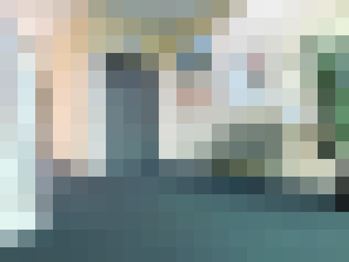 Image 21