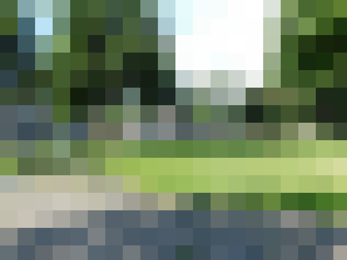 Image 24