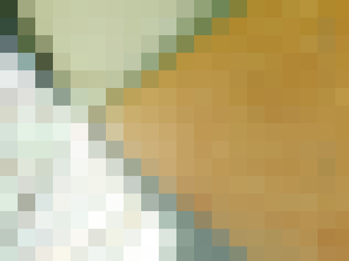 Image 23