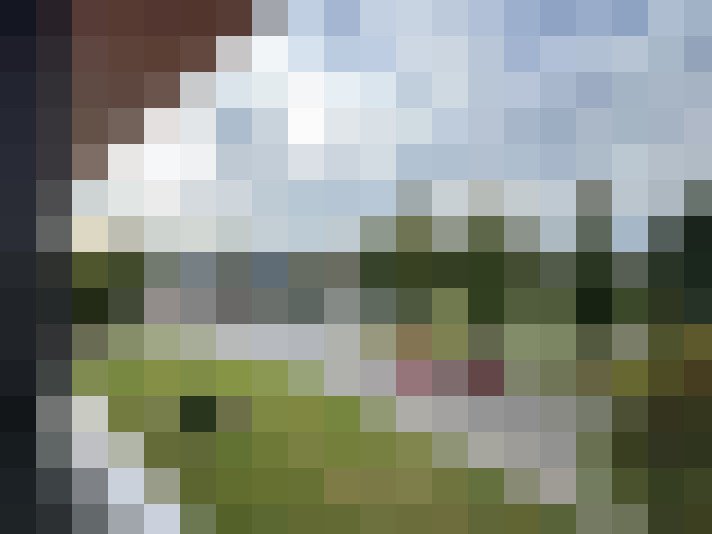 Image 13