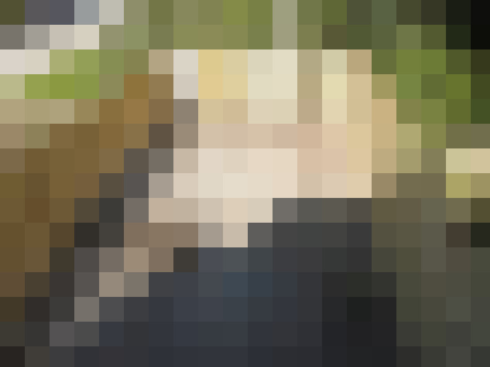 Image 25