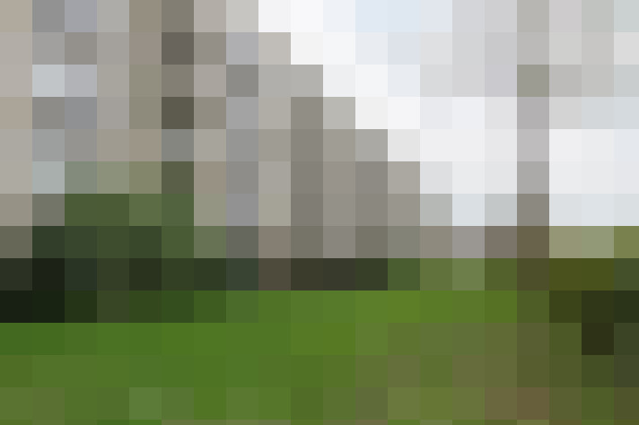 Image 16