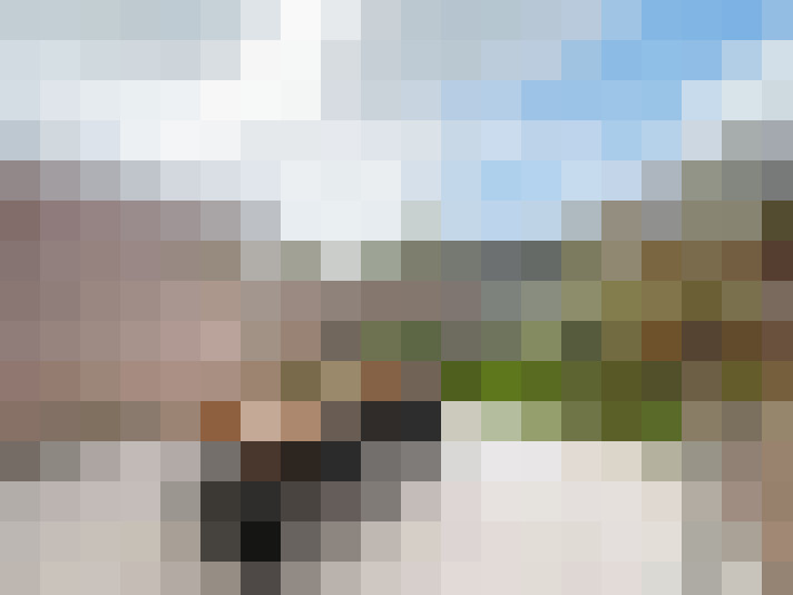 Image 20