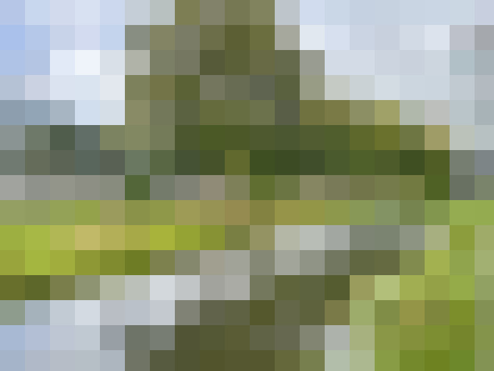 Image 22