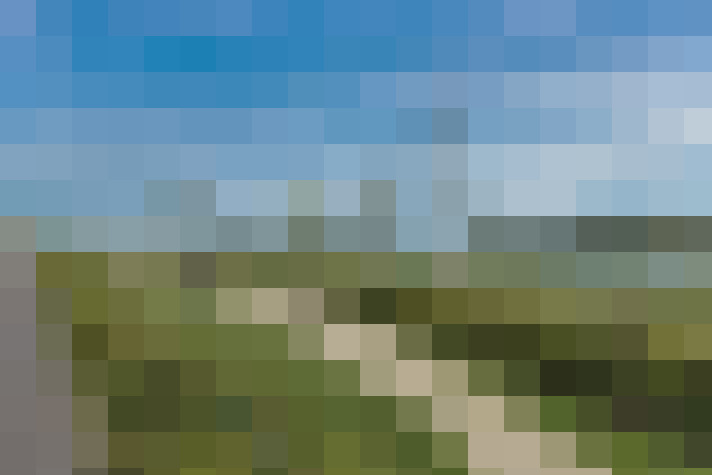Image 63