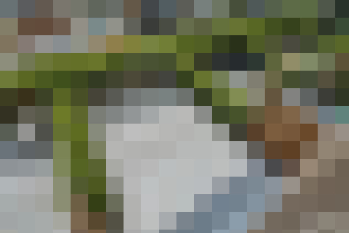 Image 35
