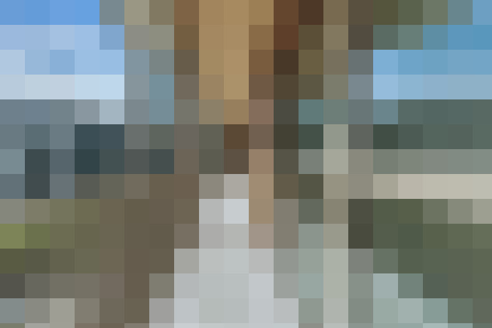 Image 33
