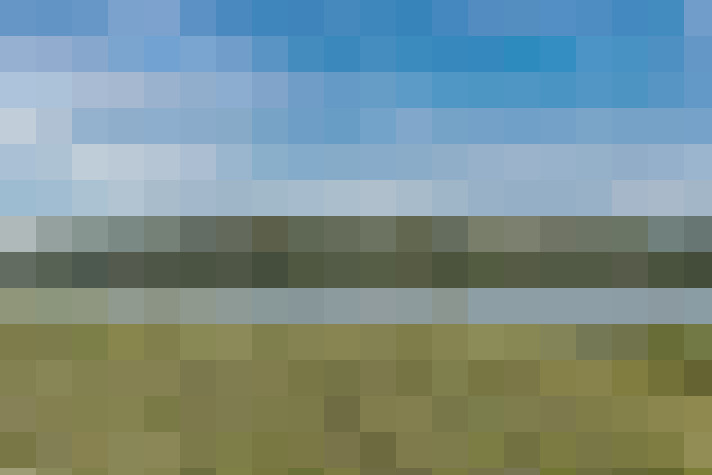 Image 62