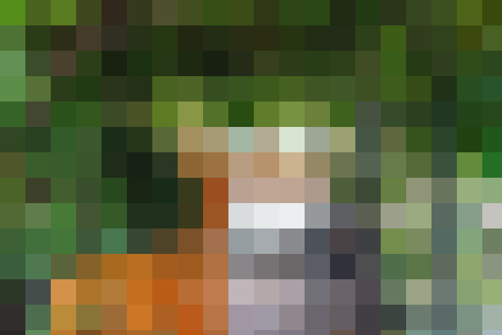 Image 31