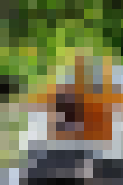 Image 30
