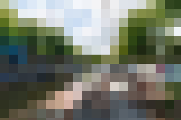 Image 41