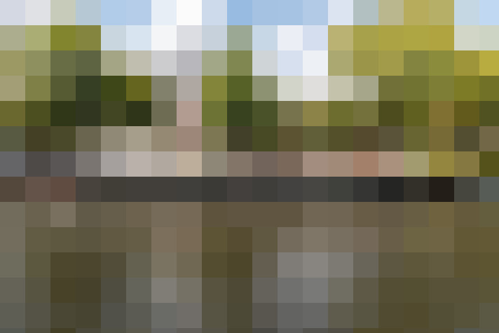 Image 40