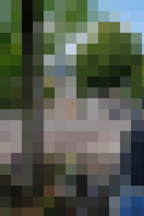 Image 43