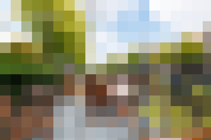 Image 36