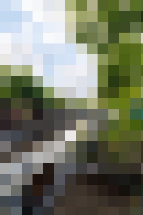 Image 42