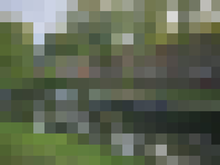 Image 17