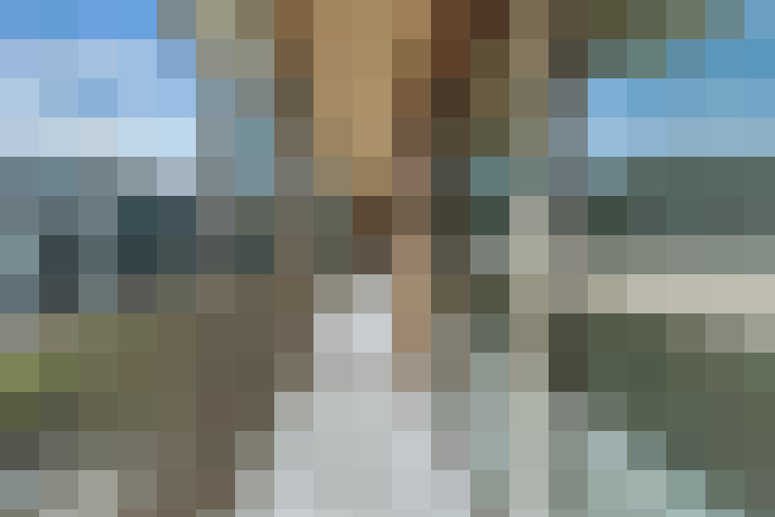 Image 33