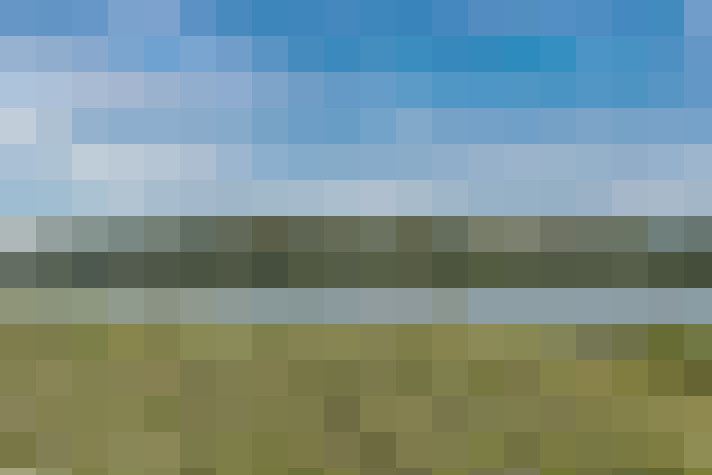 Image 62