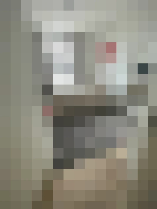 Image 29