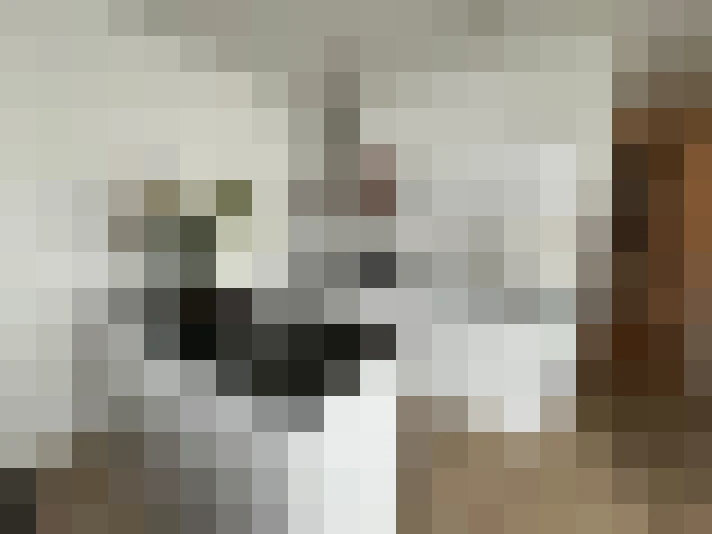 Image 32