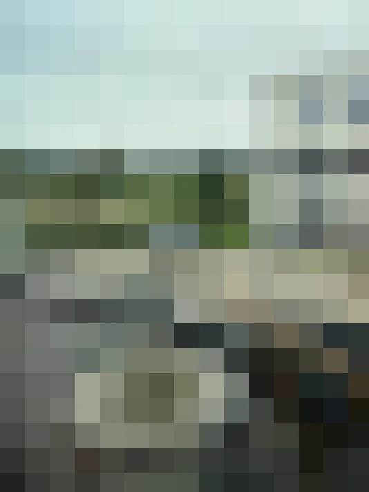 Image 27
