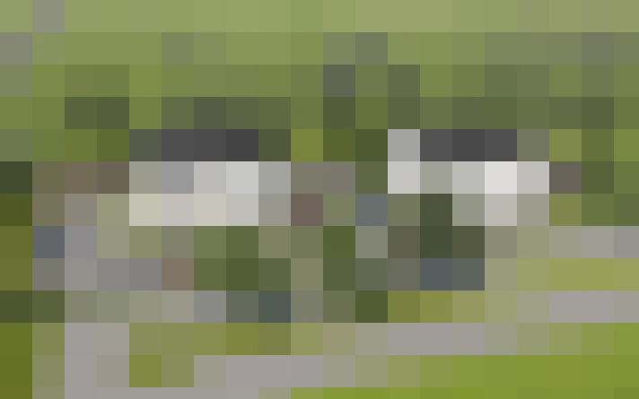 Image 39