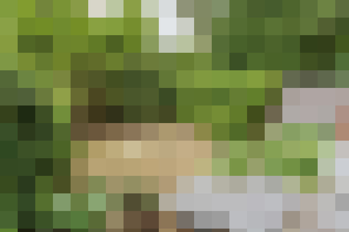 Image 61