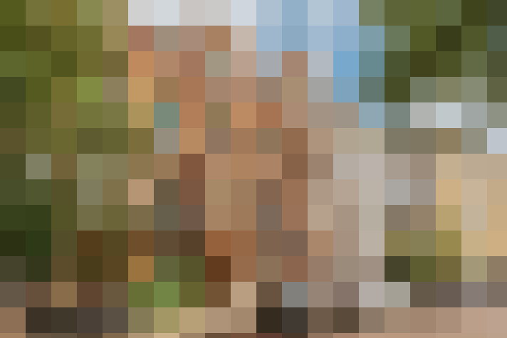 Image 57