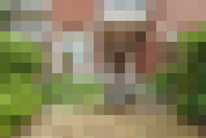 Image 16