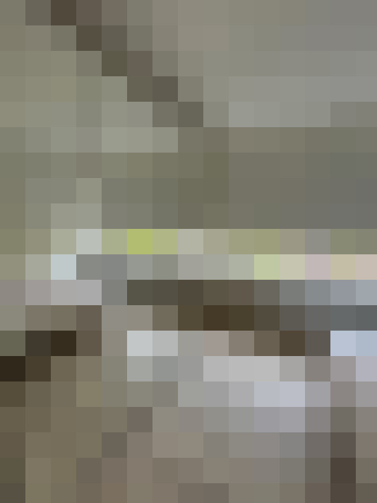 Image 15