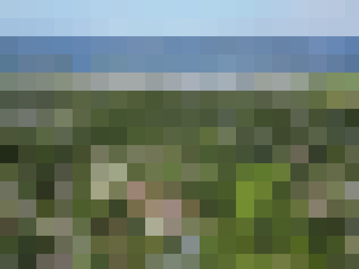 Image 29