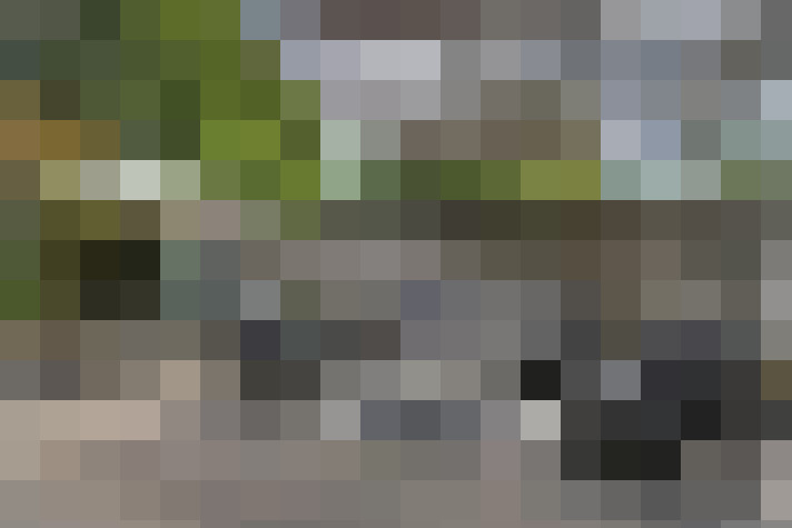 Image 26
