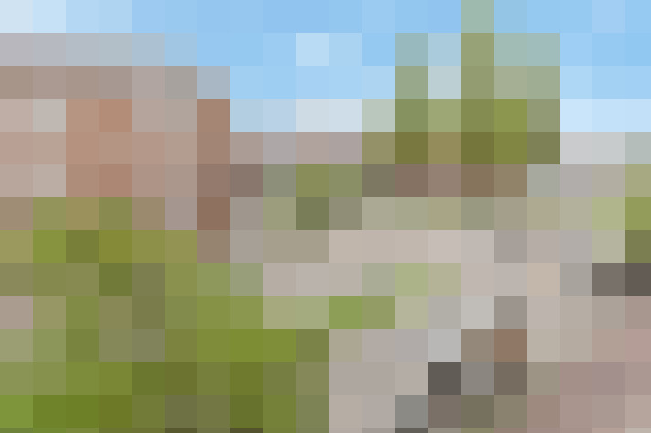 Image 16