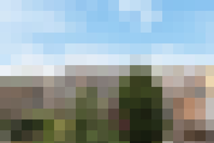 Image 31