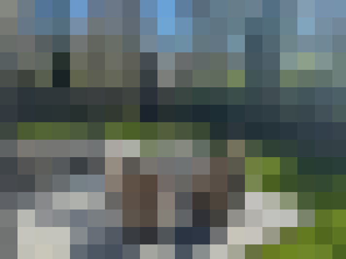 Image 24